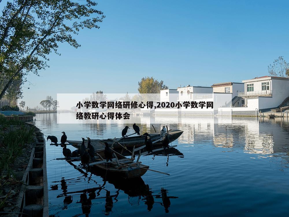 小学数学网络研修心得,2020小学数学网络教研心得体会