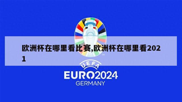 欧洲杯在哪里看比赛,欧洲杯在哪里看2021