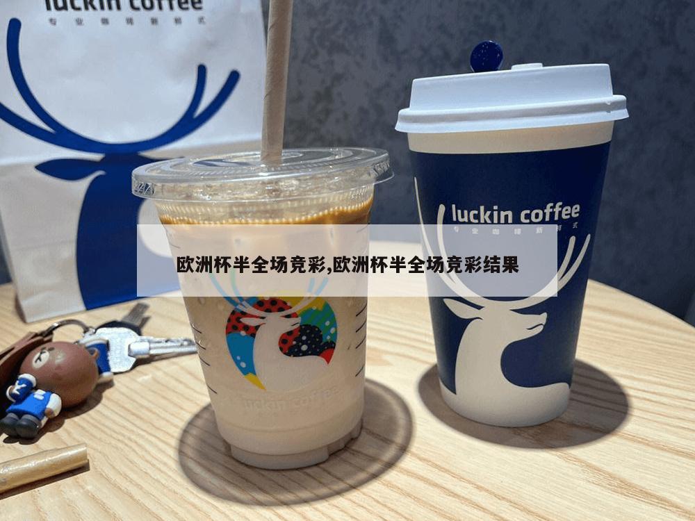 欧洲杯半全场竞彩,欧洲杯半全场竞彩结果