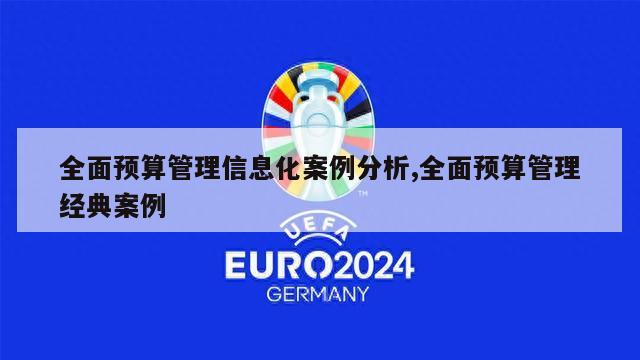 全面预算管理信息化案例分析,全面预算管理经典案例