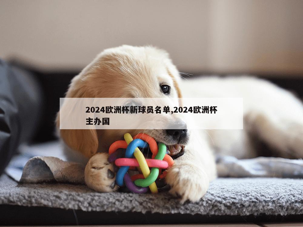 2024欧洲杯新球员名单,2024欧洲杯主办国