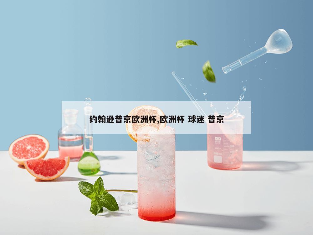 约翰逊普京欧洲杯,欧洲杯 球迷 普京